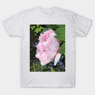 Peony after the Rain 1 T-Shirt